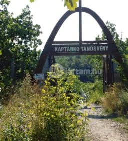 Szomolyai Kaptárkövek