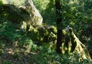 Szomolyai Kaptárkövek Szomolya