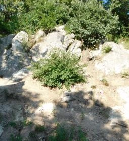 Szomolyai Kaptárkövek