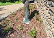 Szomorú történelmünk Tapolca