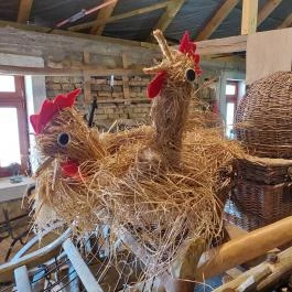 Szondi Kiállító tér és Turisztikai Központ Drégelypalánk - Egyéb