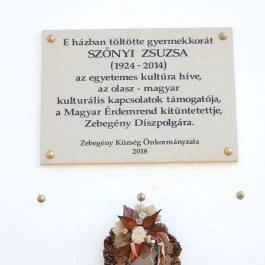 Szőnyi István Emlékmúzeum Zebegény - Egyéb