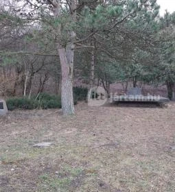 Szovjet hősi emlékmű