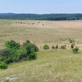 Szovjet hősi emlékmű, Csákberény - Külső kép
