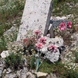 Szovjet hősi emlékmű, Csákberény - Egyéb