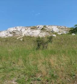 Szovjet hősi emlékmű