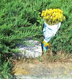 Szovjet hősi emlékmű