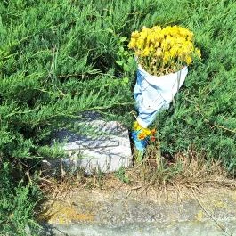 Szovjet hősi emlékmű Zsámbék - Egyéb