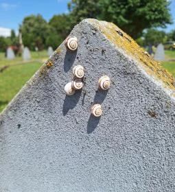 Szovjet hősi emlékmű