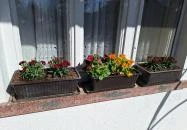 Szüleim Háza Békés