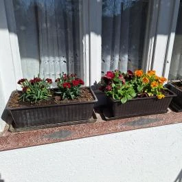 Szüleim Háza, Békés - Egyéb