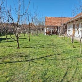 Szüleim Háza, Békés - Külső kép