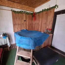 Szüleim Háza, Békés - Medence/kert