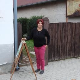 Tájház Hosszúhetény - Egyéb