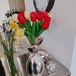 Tambura Ásotthalom - Egyéb