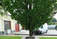 Tanítók emlékműve Jászfényszaru