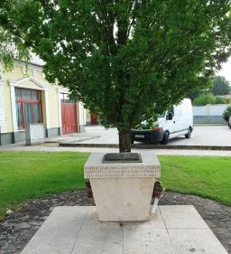 Tanítók emlékműve