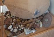 Tapolca Városi Múzeum Tapolca