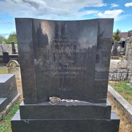 Tapolcai izraelita temető, Tapolca - Egyéb