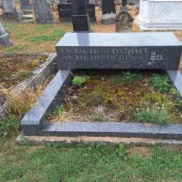 Tapolcai izraelita temető, Tapolca - Egyéb