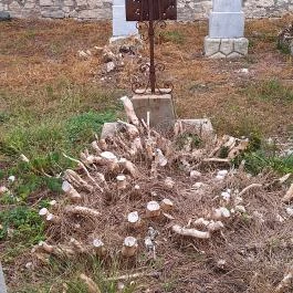 Tapolcai izraelita temető, Tapolca - Egyéb