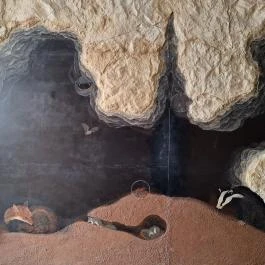 Tapolcai-tavasbarlang Látogatóközpont Tapolca - Egyéb