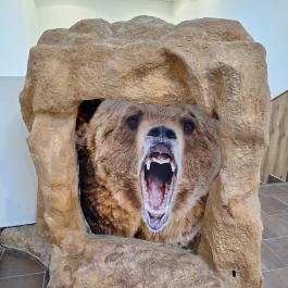 Tapolcai-tavasbarlang Látogatóközpont Tapolca - Egyéb