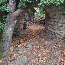 Taródi Vár, Sopron - Egyéb