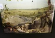 Tatabányai Múzeum Tatabánya