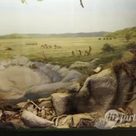 Tatabányai Múzeum, Tatabánya - Egyéb