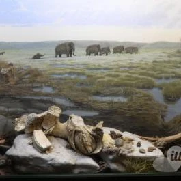 Tatabányai Múzeum, Tatabánya - Egyéb