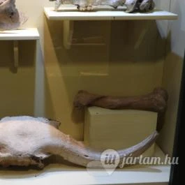 Tatabányai Múzeum, Tatabánya - Egyéb