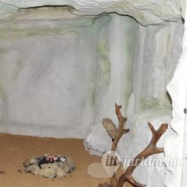 Tatabányai Múzeum, Tatabánya - Belső