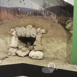 Tatabányai Múzeum, Tatabánya - Egyéb