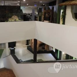 Tatabányai Múzeum, Tatabánya - Egyéb