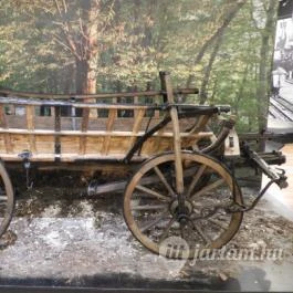 Tatabányai Múzeum, Tatabánya - Egyéb