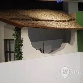 Tatabányai Múzeum, Tatabánya - Egyéb