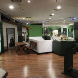 Tatabányai Múzeum, Tatabánya - Belső