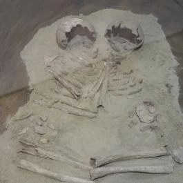 Tatabányai Múzeum, Tatabánya - Egyéb