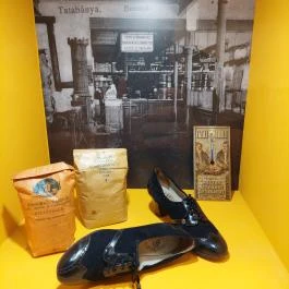 Tatabányai Múzeum, Tatabánya - Egyéb