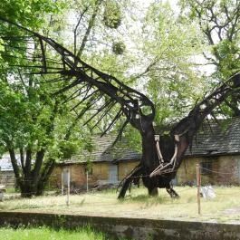 Tatabányai Múzeum - Bányászati és Ipari Skanzen Tatabánya - Egyéb