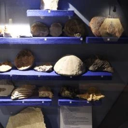 Tatabányai Múzeum - Bányászati és Ipari Skanzen Tatabánya - Egyéb