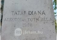 Tatai Diana Tata