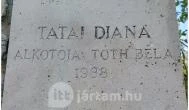 Tatai Diana Tata - Egyéb