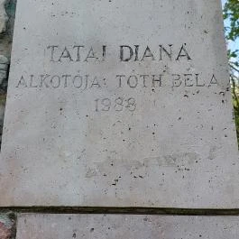 Tatai Diana Tata - Egyéb