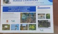 Tatai Fényes tanösvény Tata - Egyéb