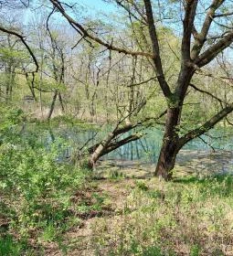 Tatai Fényes tanösvény