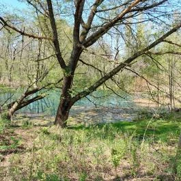 Tatai Fényes tanösvény Tata - Külső kép