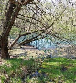 Tatai Fényes tanösvény