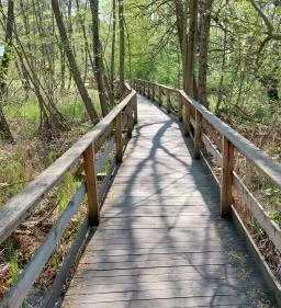 Tatai Fényes tanösvény